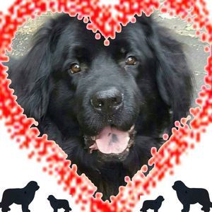 Meet your Posher, Valeria